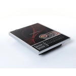 Настольная плита Zigmund & Shtain ZIP-555