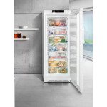 Морозильная камера Liebherr GN 4635