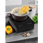 Настольная плита Endever Skyline IP-51