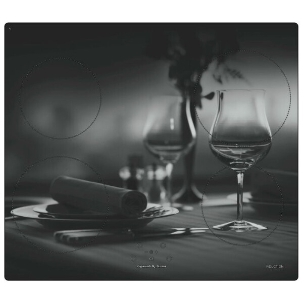 Встраиваемая индукционная варочная панель Zigmund & Shtain CIS 219.60 DX