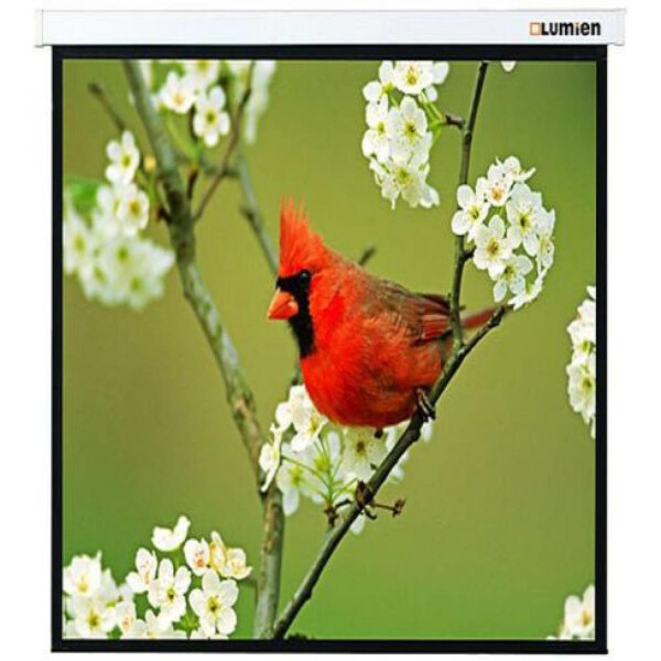 Экран для проектора Lumien LMP-100129