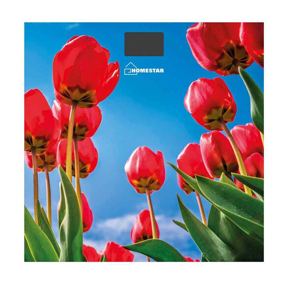 Весы напольные Homestar HS-6001I