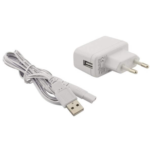 Ирригатор Revyline RL 200