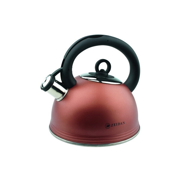 Чайник Zeidan Z-4038 Ryan