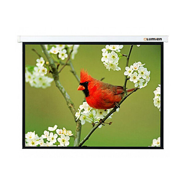 Экран для проектора Lumien Master Picture LMP-100107
