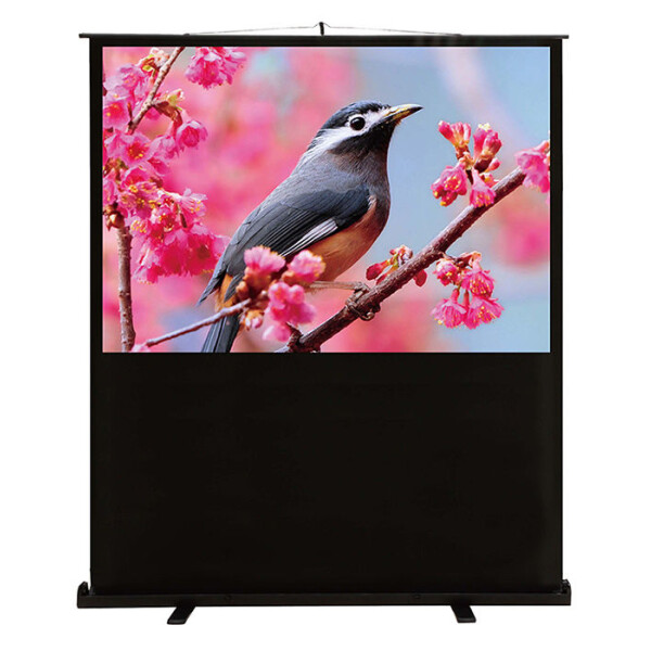 Экран для проектора Cactus FloorCompactExpert CS-PSFLCE-120X90